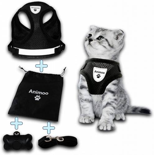 Set de 4 accesorii pentru pisici Animoo - textil - negru - marimea XL