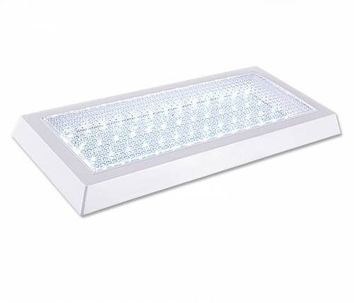 Plafoniera LED - 24W - Ecoplanet - 2160LM - F - lumina calda 3000K - dreptunghiulara 545x235x50mm - sticla transparenta