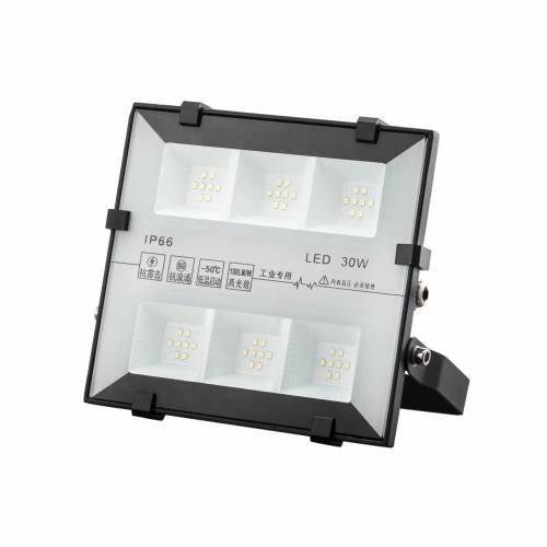 Proiector LED - Rezistent la Apa IP66 - Lumina Rece 6000K - 220V - 30W