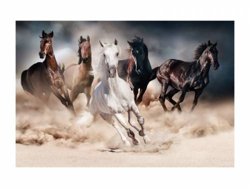Tablou Sticla Horse Herd In The Desert - 120 x 80 cm