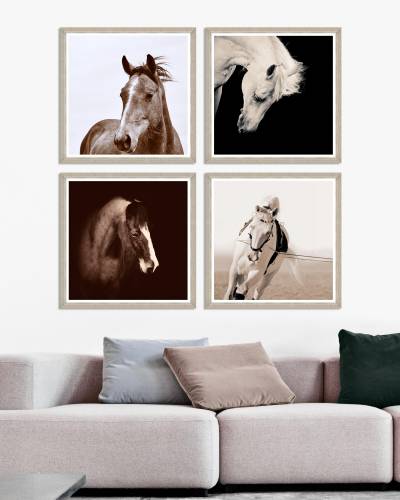 Tablou 4 piese Framed Art Horse Portraits