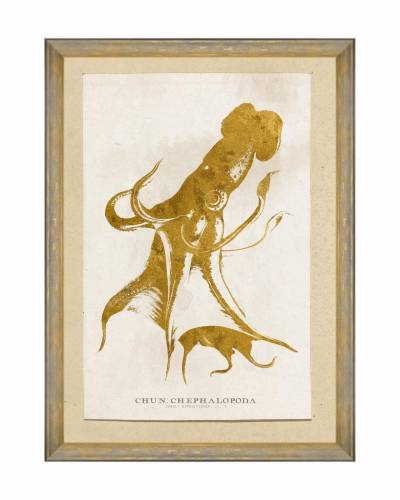 Tablou Framed Art Caribbean Sea Life - Cephalapoda - 50 x 70 cm